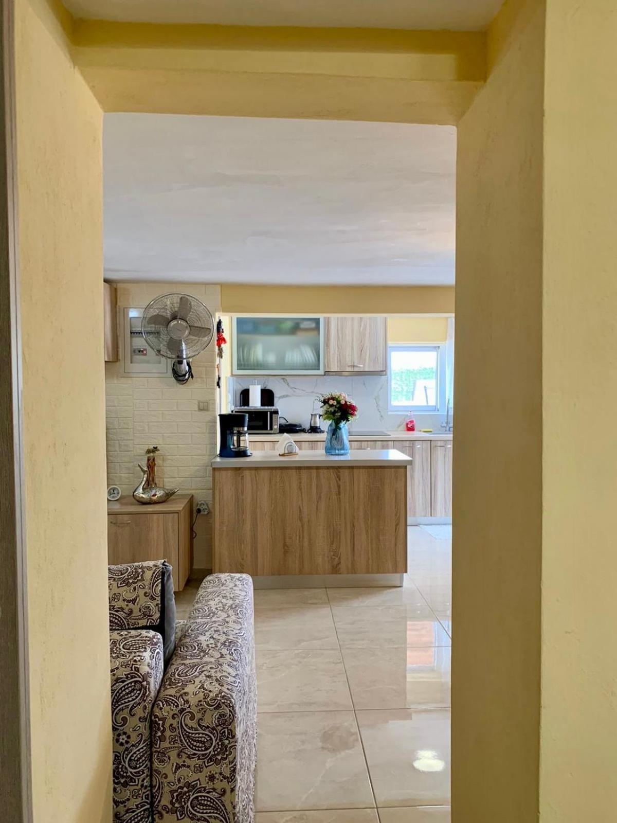 Sofia'S Seaview Villa Near Airport And Beach Artemida  Exterior photo